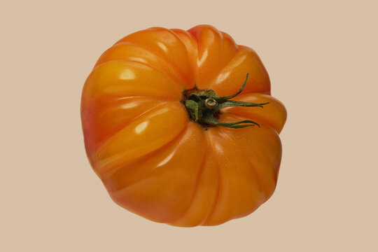 Close up shot of heirloom giant Belgium yellow beef tomato against beige background
