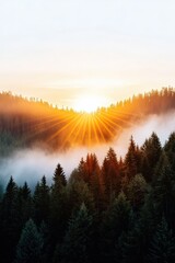 Obraz premium The sun rising above a misty valley, casting golden light on the surrounding forest
