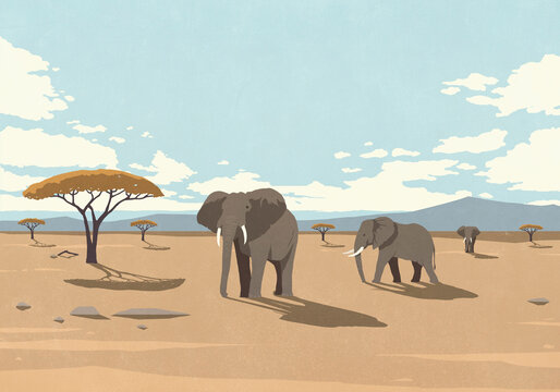 Elephants in the wild walking in sunny desert landscape
