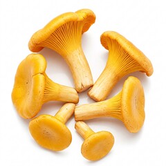 Yellow chanterelle mushrooms, showcasing organic shapes and texture, are elegantly arranged,