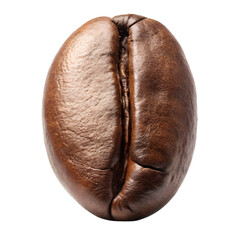 Single roasted arabica bean close up for coffee lovers and cafe owners on transparent background.