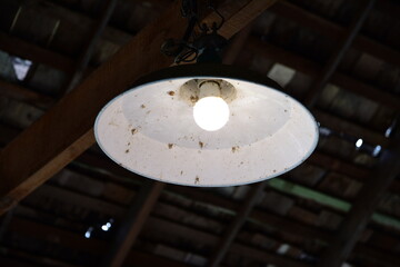 lamps on the ceiling