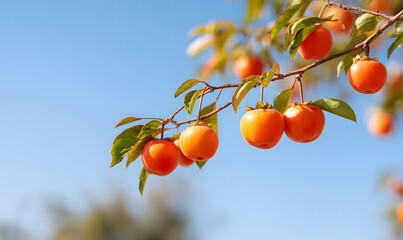 ripe persimmon on a tree. generative ai