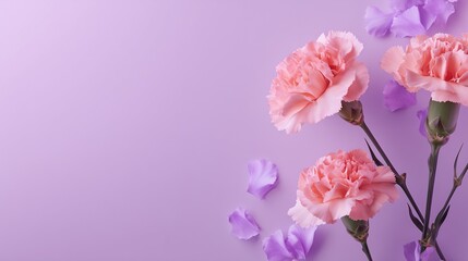 Fototapeta premium **Pastel lilac background featuring minimalist stems of blooming carnations placed diagonally across the frame
