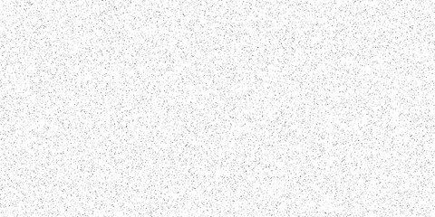 White and black particles dust noise paper texture background and terrazzo flooring texture polished stone pattern. Quartz surface white for bathroom or kitchen sandstone small have mixed sand tile.