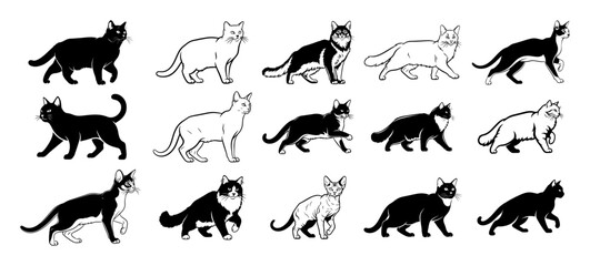 Obraz premium big collection of cats silhouettes and breeds vector set