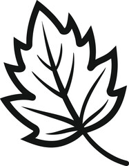 Fototapeta premium Leaf Symbol vector illustration on transparent background