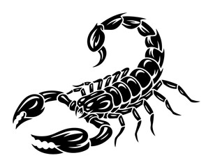 scorpion silhouette vector illustration