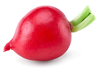fresh radish isolated on white background. clipping path