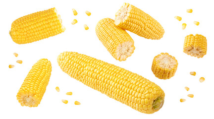 Fresh corn on cob isolated on white background. clipping path
