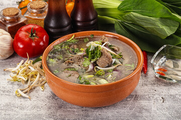 Vietnamese cuisine - Pho Bo soup with beef