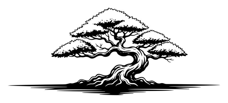 bonsai tree silhouette japanese zen garden vector logo