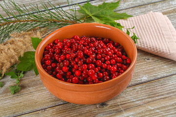 Natural organic wild forwst lingonberry