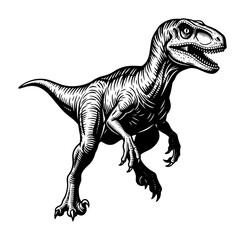 velociraptor dinosaur prehistoric predator vector illustration