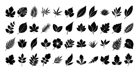 big collection of tree leaf silhouettes vector icon set