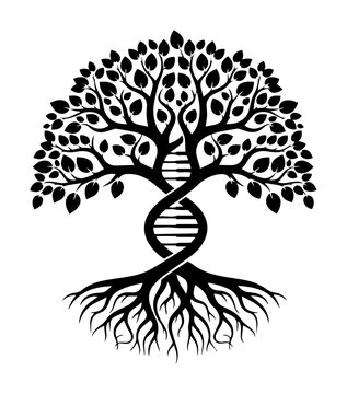 dna tree of life roots monochrome vector illustration