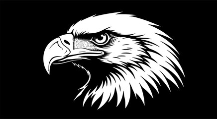 Close-up black and white graphic illustration of an eagle's head, profile view.
