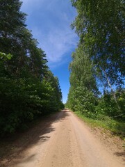 road in the woods