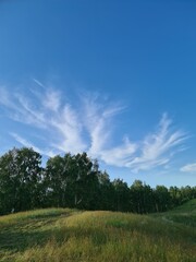 landscape with trees and clouds