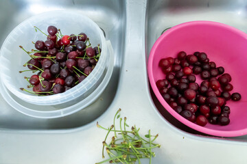 Top-down view of two plastic bowls placed in a double kitchen sink, one filled with freshly picked cherries with stems, the other containing pitted cherries. 