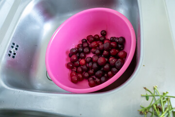 washed cherries in a pink plastic bowl in a stainless steel sink