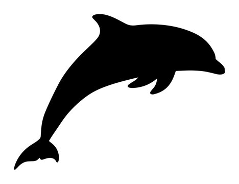 jumping dolphin silhouette vector illustration