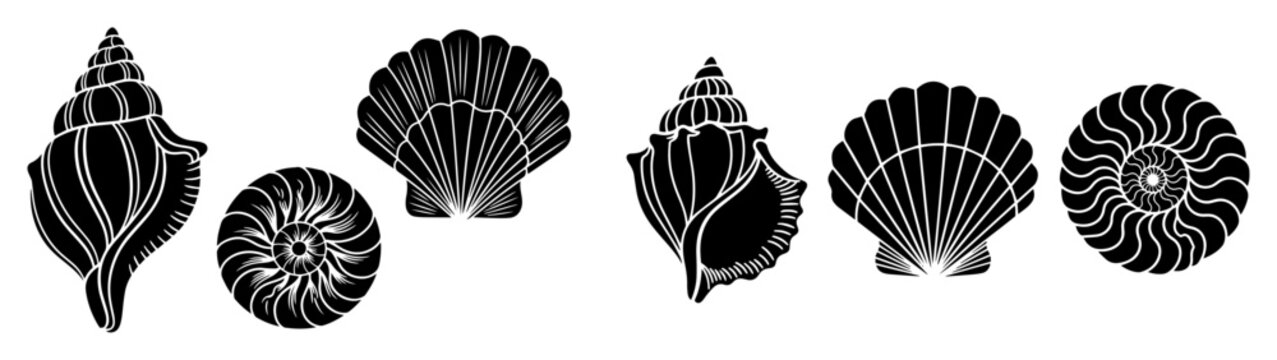 seashells silhouette vector icon collection