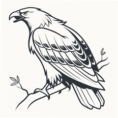 Fierce eagle perched on branch bird wings