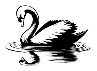 graceful swan with reflection engraving vector illustration
