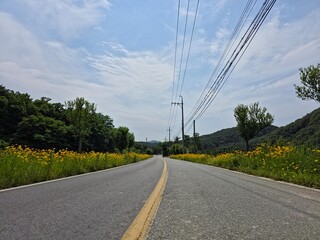 Blue sky and clouds, trees and flowers, road and power lines, beautiful country road scenery, Yeongdeok, Korea - 푸른 하늘과 구름, 나무와 꽃, 도로와 전력선, 아름다운 시골 길 풍경, 영덕,  한국