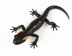 Obraz premium a 3D render of salamander, centered, isolated white background