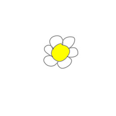yellow flower on white background