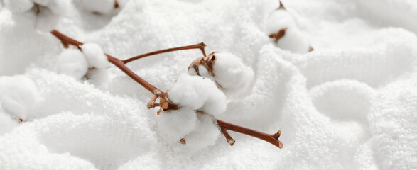 Cotton sprig with flowers on fluffy blanket