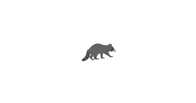 Animated icon of a raccoon, representing wildlife, nocturnal animals, and forest creatures. Perfect for use in projects related to nature, animals, forests, ecology, wildlife conservation, and outdoor