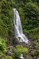 Wasserfall auf Dominica - Trafalgarfall