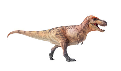 T-Rex King Dinosaurs theropod of Late Cretaceous. Tyrannosaurus rex isolated on white background. © Panupong