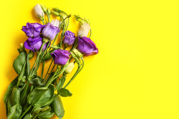 Eustoma flowers on yellow background