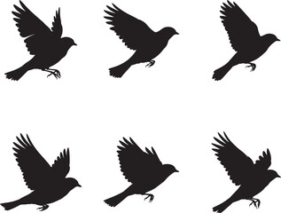 Obraz premium Six silhouettes of a bird in flight showing wing and tail movement