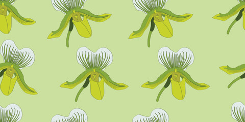 Seamless pattern tropical flower, watercolor style, paphiopedilum orchids on light green background.  Lady's slipper flower. © jibb008