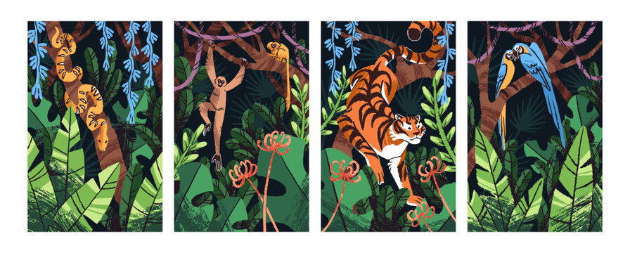 Set of posters with wild animals in jungle. Tropical fauna in rainforest. Parrots on palm branch. Monkeys are on lianas. Tiger walking in forest. Python, exotic snake on tree. Flat vector illustration