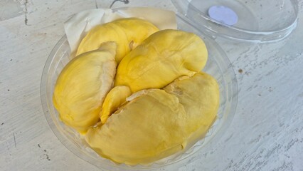 Golden yellow durian flesh is neatly arranged in a clear plastic container.
