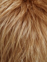 Fototapeta premium A close up view of blonde hair strands creating a textured background with light and shadow interplay
