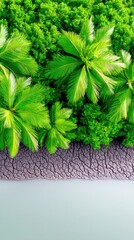Dense Tangle of Lush Green Palm Fronds Overhanging Muddy Bank