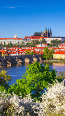 bridge over the river in prague