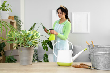 Plant with watering can and secateurs on table in room, closeup