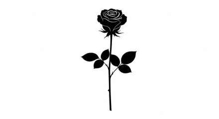 Elegant Black Rose Silhouette on White Background, Isolated Floral Design