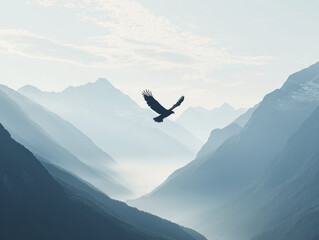 Majestic eagle soaring above misty mountain valley under soft cloudy sky