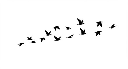 Obraz premium A flock of black birds in flight, forming a graceful, curved pattern against a white background.
