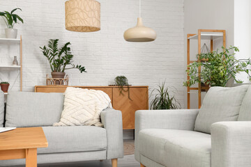 Interior of comfortable living room with sofas, houseplants, chest drawer, shelving units and table