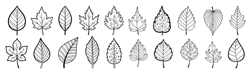 Fototapeta premium autumn leaves and tree foliage decorative pack